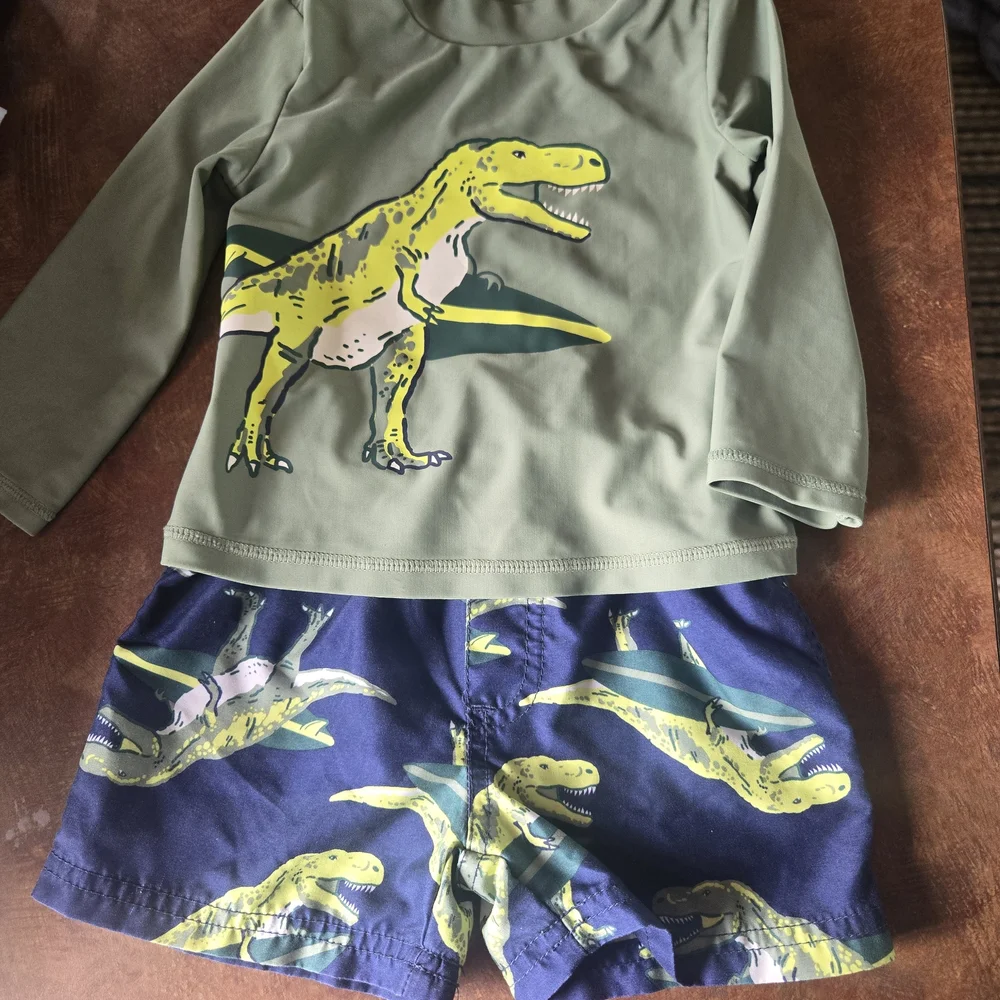 Carter's Dinosaur Swim Outfit 2 Piece-size 18mos EUC